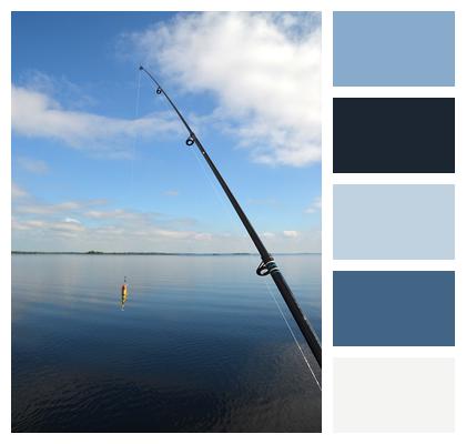 Bait Fishing Rod Fish Image